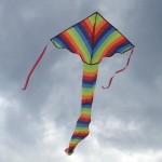 Kite - Rainbow Delta Kite - Windspeed